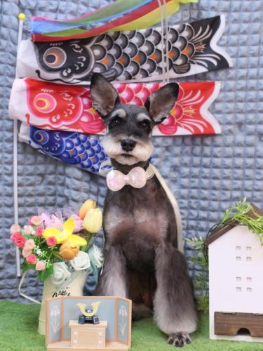 20230527ニーナちゃん